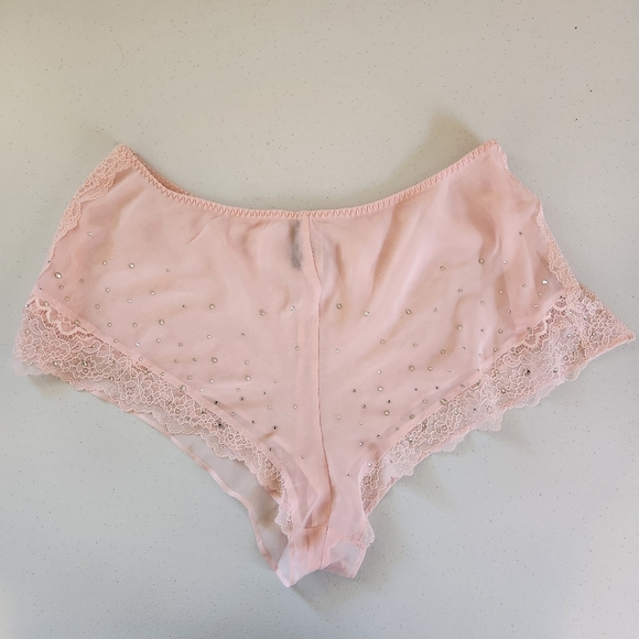 Victoria's Secret Pink Sheer See Through Panty Panties Bloomers New NWT Lace - Picture 1 of 7
